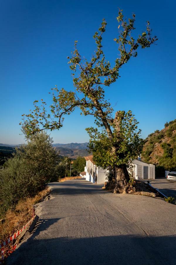 Periana B&B Villa Deseada المظهر الخارجي الصورة